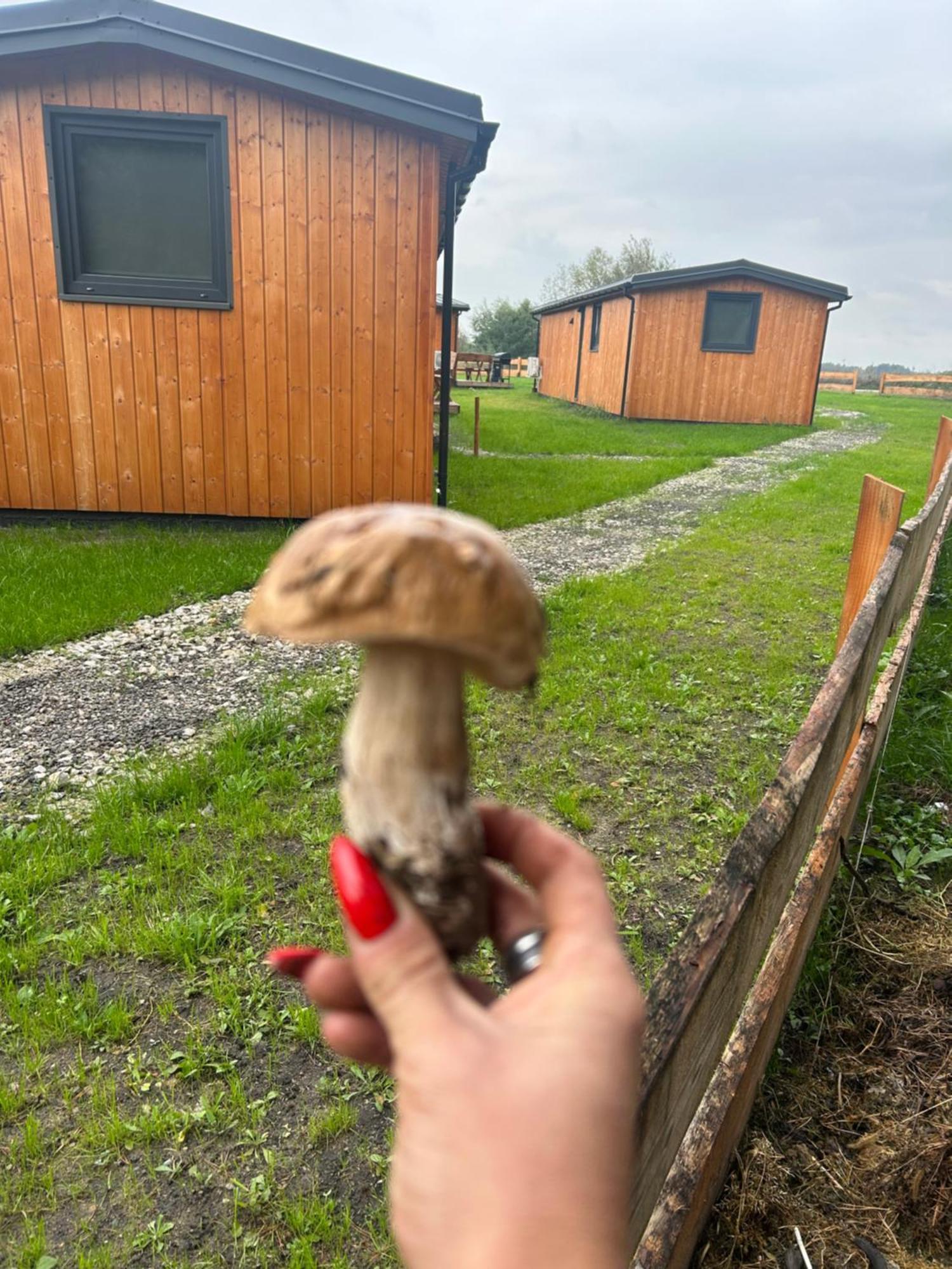 Zacisze Obok Suntago Park Hotel Grabce-Towarzystwo Eksteriør billede